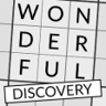 Wonderful Discovery Trophy