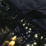 Night Wolf Trophy