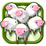 Super Shepherd Trophy
