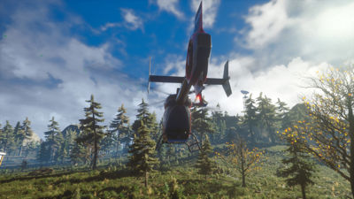 Pilot Flight Simulation