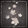 Before the Leaves Fall Trophy