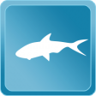 Golden Trout Trophy