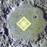 Ptolemaeus Crater: Collection Trophy