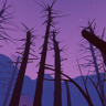 Creator Trophy
