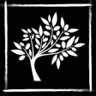 The Olive Grove Trophy