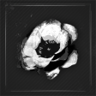 Focus on the Tasks at Hand Trophy