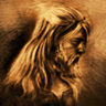 Lothbrok's disciple Trophy