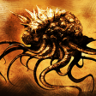 Malboro? Trophy