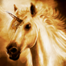 The last of the unicorns Trophy