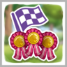 Training Race 3 Trophy