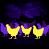 Click-CLUCK, mother****** Trophy