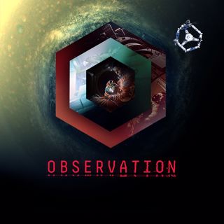 Observation Screenshot 11