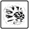 Dead Clever Trophy
