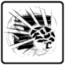 Distinction Trophy