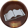 Compulsive reader Trophy
