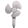 Wind Trophy