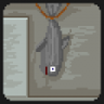 This is fishy! Trophy