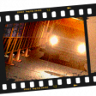 Survival Escape Trophy