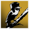 Bird Of Prey Trophy