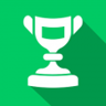Street Brawler Trophy