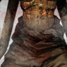 End of Chapter 5 Trophy