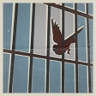 Freedom Trophy