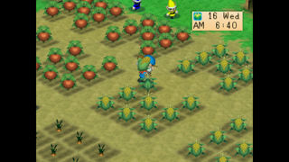 Harvest Moon: Back to Nature Screenshot 6