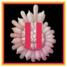 Claire's Journal Volume II Trophy