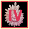 Claire's Journal Volume IV Trophy