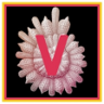 Claire's Journal Volume V Trophy