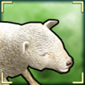 Baa! Trophy