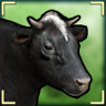 Moo! Trophy