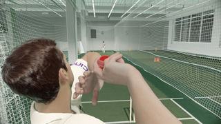 Cricket 22 Screenshot 2