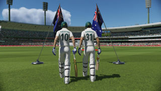 Cricket 22 Screenshot 8