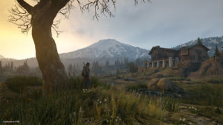 Days Gone Screenshot 7