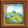 Berries Trophy