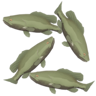 Something Smells Fishy Trophy