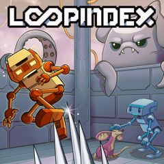Loopindex
