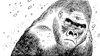 Bigfoot's Journey Screenshot 4