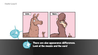 Alpaca Wonders Why Screenshot 5