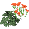 Advanced Gardener Trophy