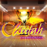 Cheetah Championship Win Trophy