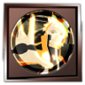Ultimate Fighter Trophy