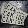 License Plate Liberation Trophy