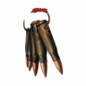 Raider Trophy