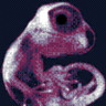 Volt Womb Trophy