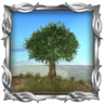 Timeless Treasure Trophy