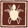 Turtle Soup Trophy