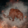 Endangered Trophy