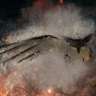 Feathered Friend Trophy